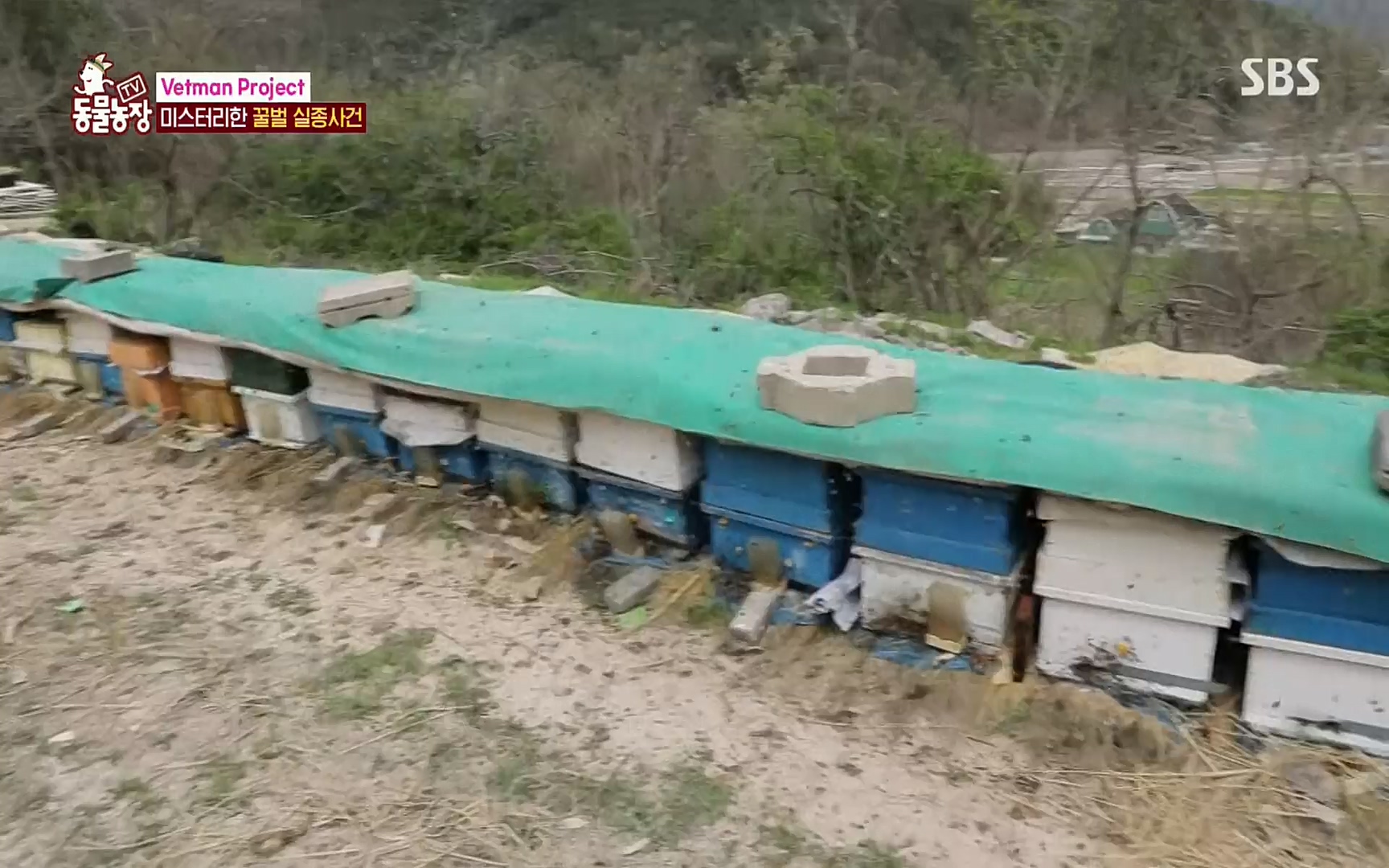 TV 동물농장.E1072.220605p.H264-F1RST.mp4_20220605_181444.511.jpg