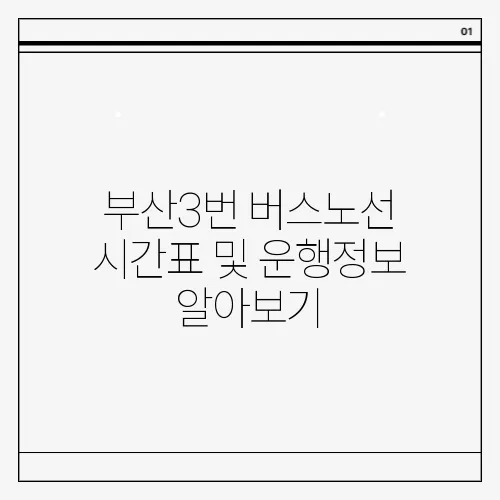 부산3번 버스노선 시간표 및 운행정보 알아보기