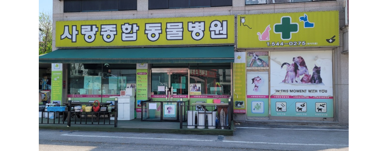 포천시 동물병원