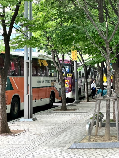 동서울 서대구 고속버스 시간표 조회 및 예매하기