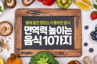 면역력 높이는 하루 루틴과 시간대별 건강 습관_24