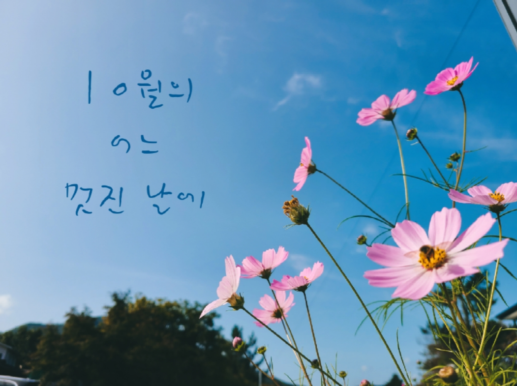  10월의 어느 멋진 날에 가사 탄생 비하인드 스토리
