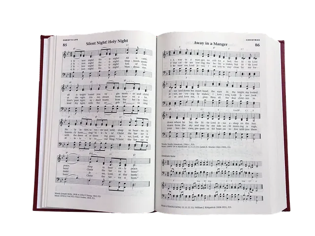 찬송가 89장 샤론의 꽃 예수 악보 가사 해설_4