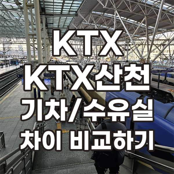  KTX와 KTX산천 차이 비교(+ 의자 수유실 유아동반석)