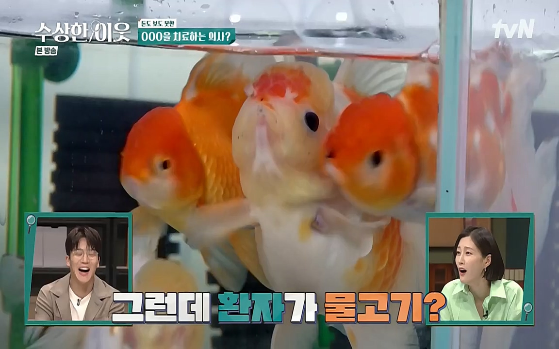 수상한 이웃.E04.220422p-NEXT.mp4_20220424_193438.430.jpg