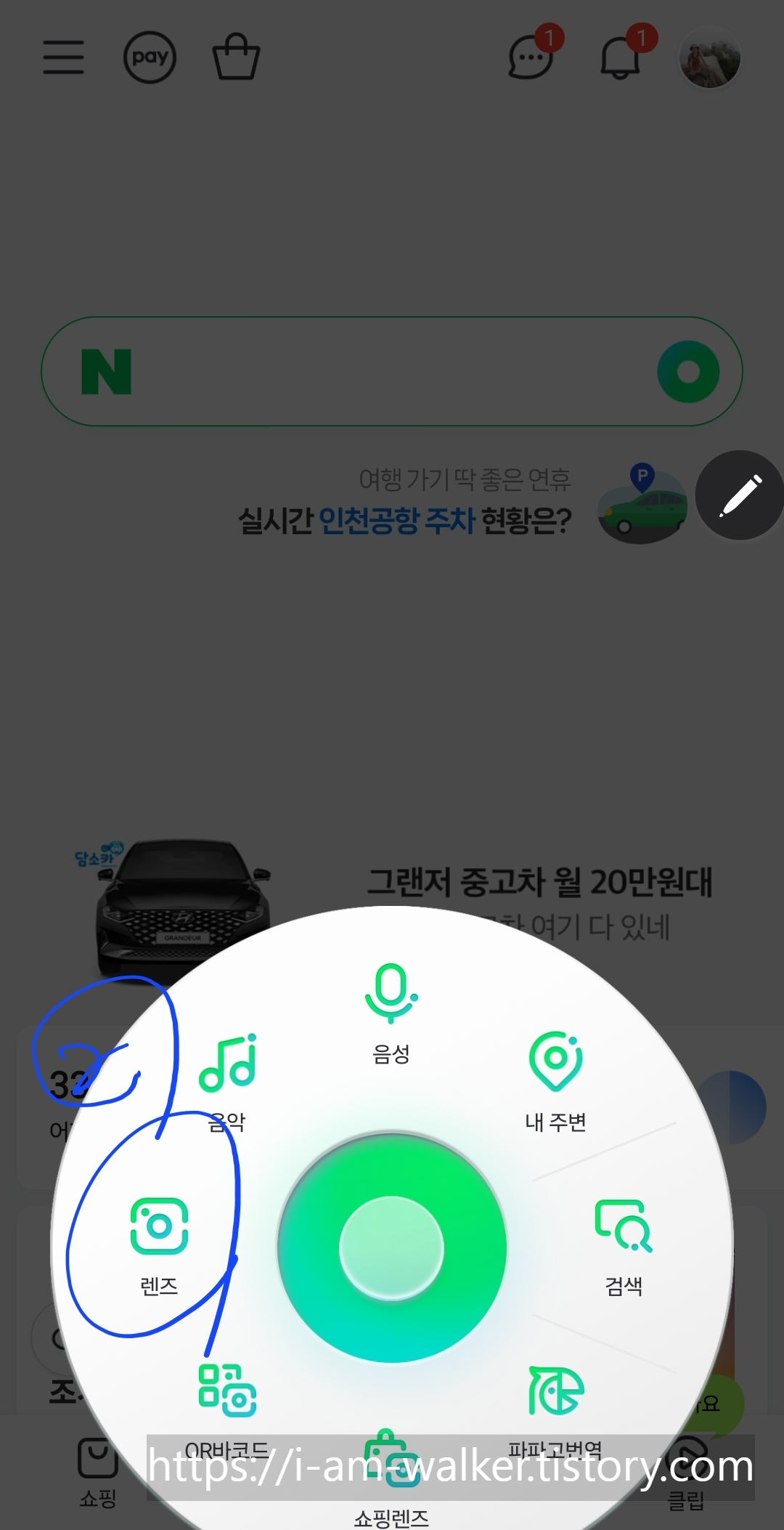 네이버 앱&amp;#44; 식물 이름 쉽고 빠르게 찾는 방법 대공개