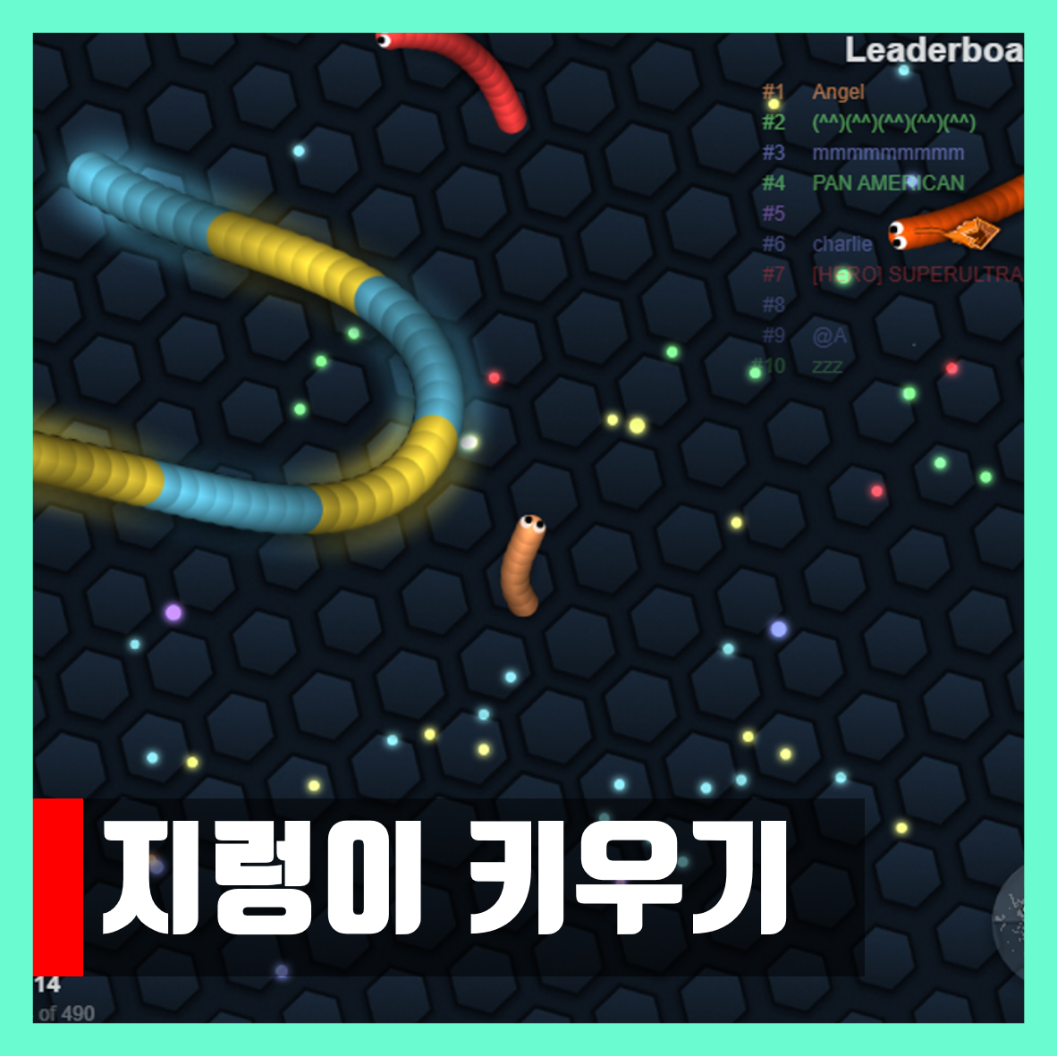  지렁이 키우기 게임하기 Raising Earthworms
