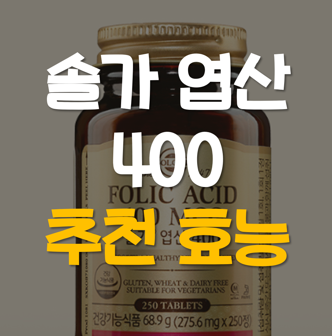  솔가 엽산 400 추천 효능