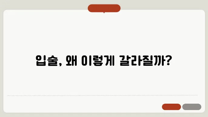 입술이 부르트는 이유 9가지