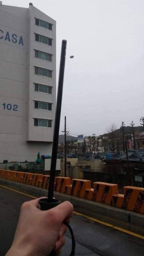  다이소 우산 구매 후기
