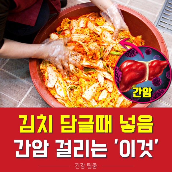 김장 김치 썩은 생강 구별법, 상한 생강 구별법, 김치 간암 원인, 건강 팁줌 매일꿀정보