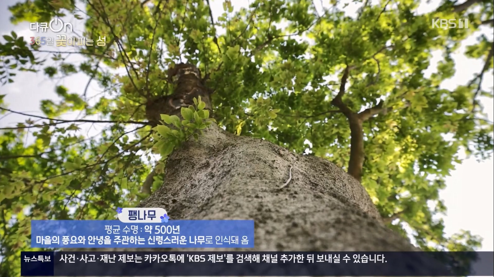 다큐 On.E201.230610p.H264-F1RST.mp4_20230611_165341.965.jpg