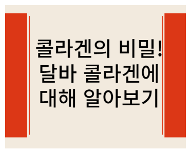 달바 콜레겐에 관한 글 링크