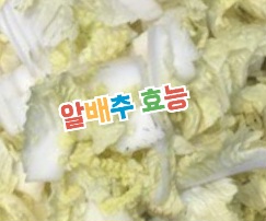 알배추-효능