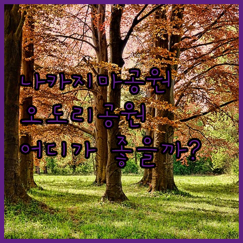 나카지마 공원 vs 오도리 공원 삿포
