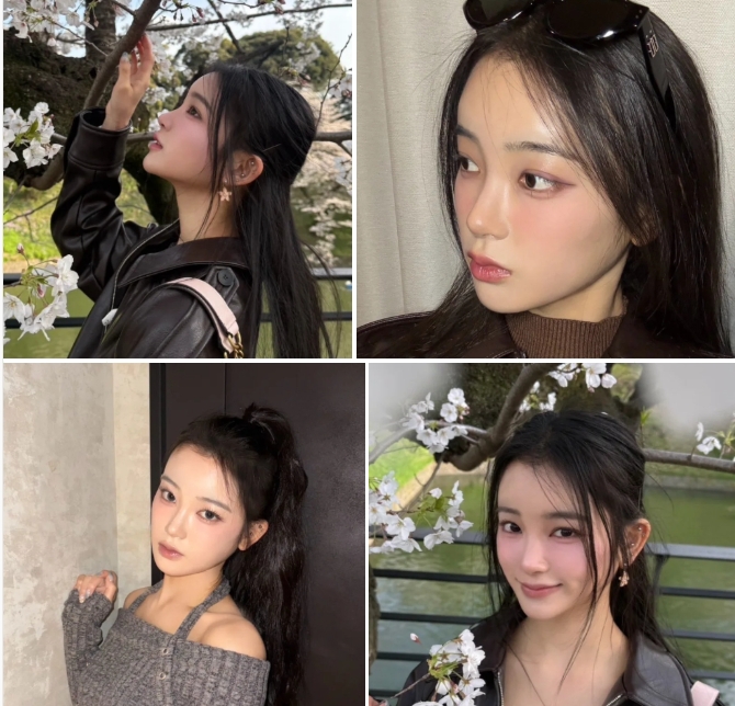 사쿠라이 미우