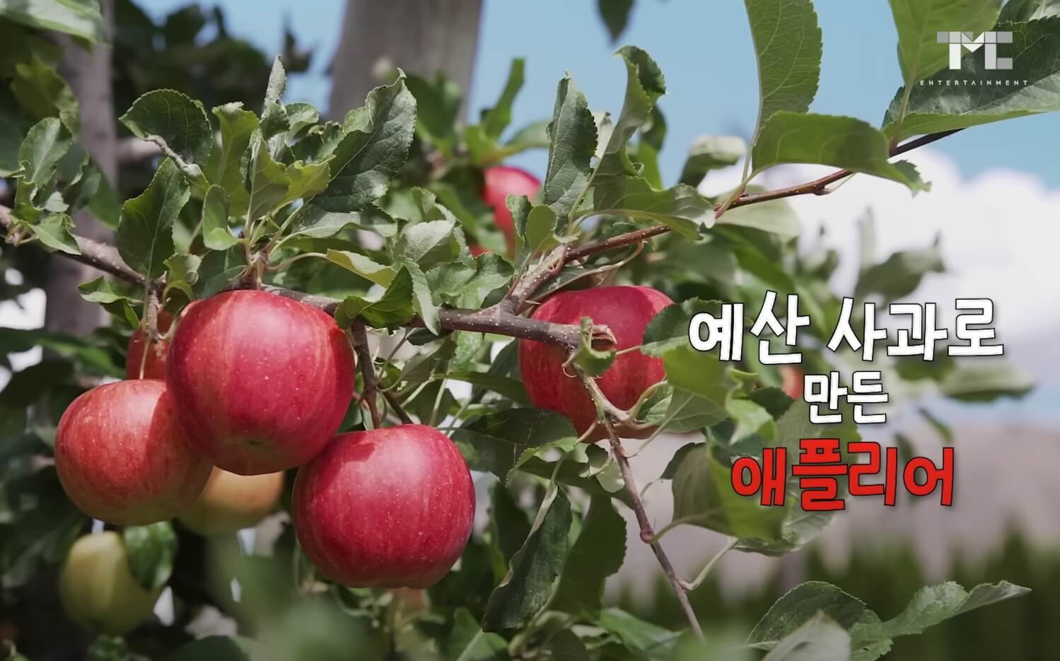 예산-사과-사진