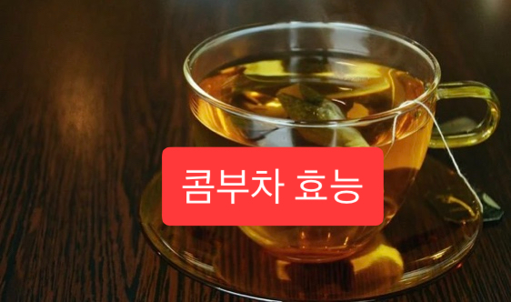  콤부차 효능은?