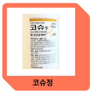 코슈정