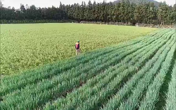 [4회] 자연의 철학자들 - KBS행복하냐고 묻는다면] 흙과 돌, 숲과의 눈맞춤 그리고 물속에서의 숨소리까지 오롯이 김창옥.ts_20220329_191152.143.jpg