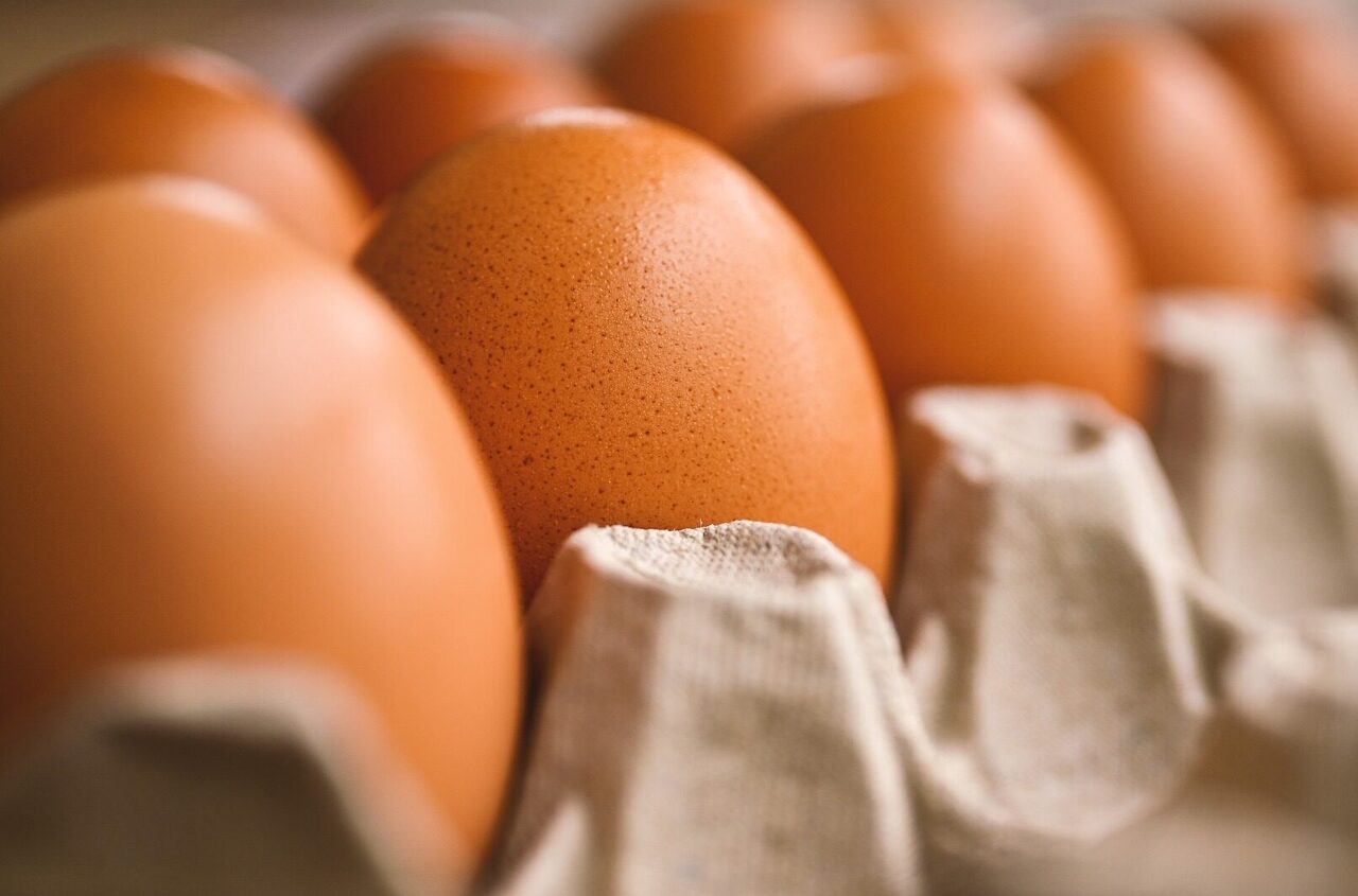  Egg prices predicted to remain at record high throughout 2023