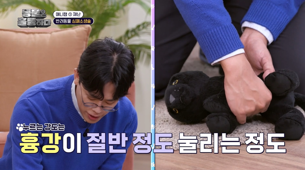 반려인들은 알아두면 좋을 만한 정보들...jpg | 인스티즈