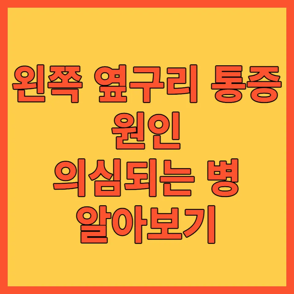 왼쪽 옆구리 통증 포스팅 대표사진