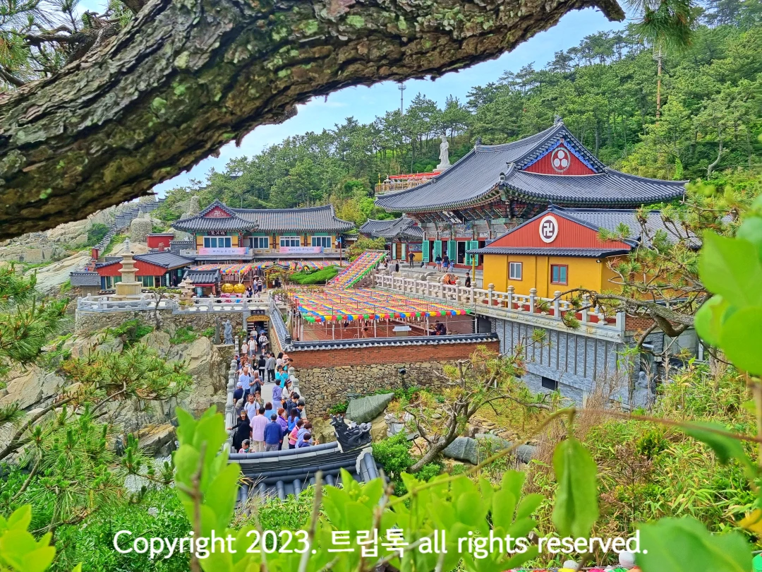 검정 나무가지 아래 기와지붕의 절리 있고 그곳을 향하는 수많은 사람들이 다리를 건어고 있다