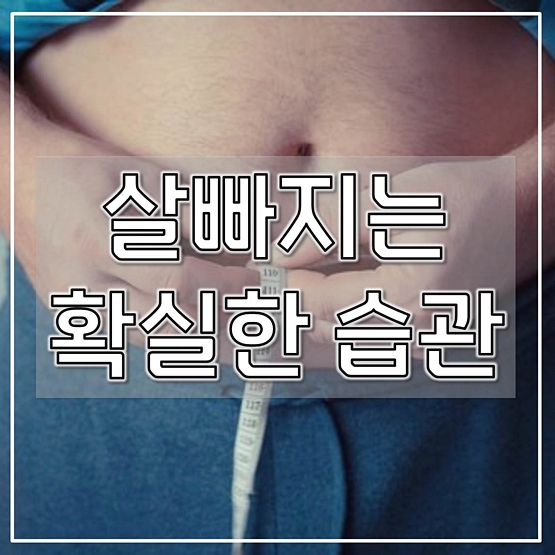  살빠지는 확실한 습관