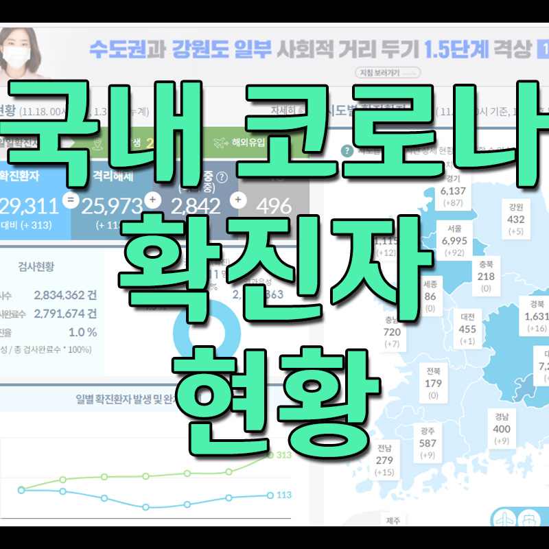  국내 코로나 확진자 현황