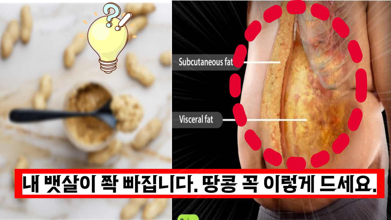  내 뱃살 내장 지방이 쫙 빠집니다. 땅콩 꼭 이렇게 드세요.