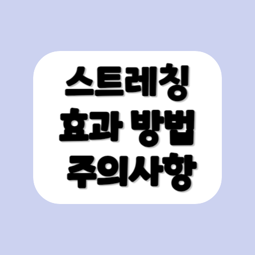 스트레칭효과