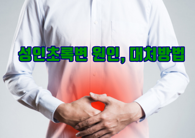  성인초록변 이유와 대처방법 알아보기