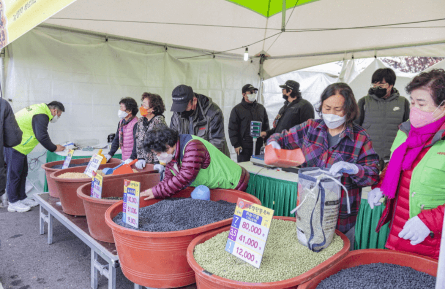 파주 장단콩축제 가격