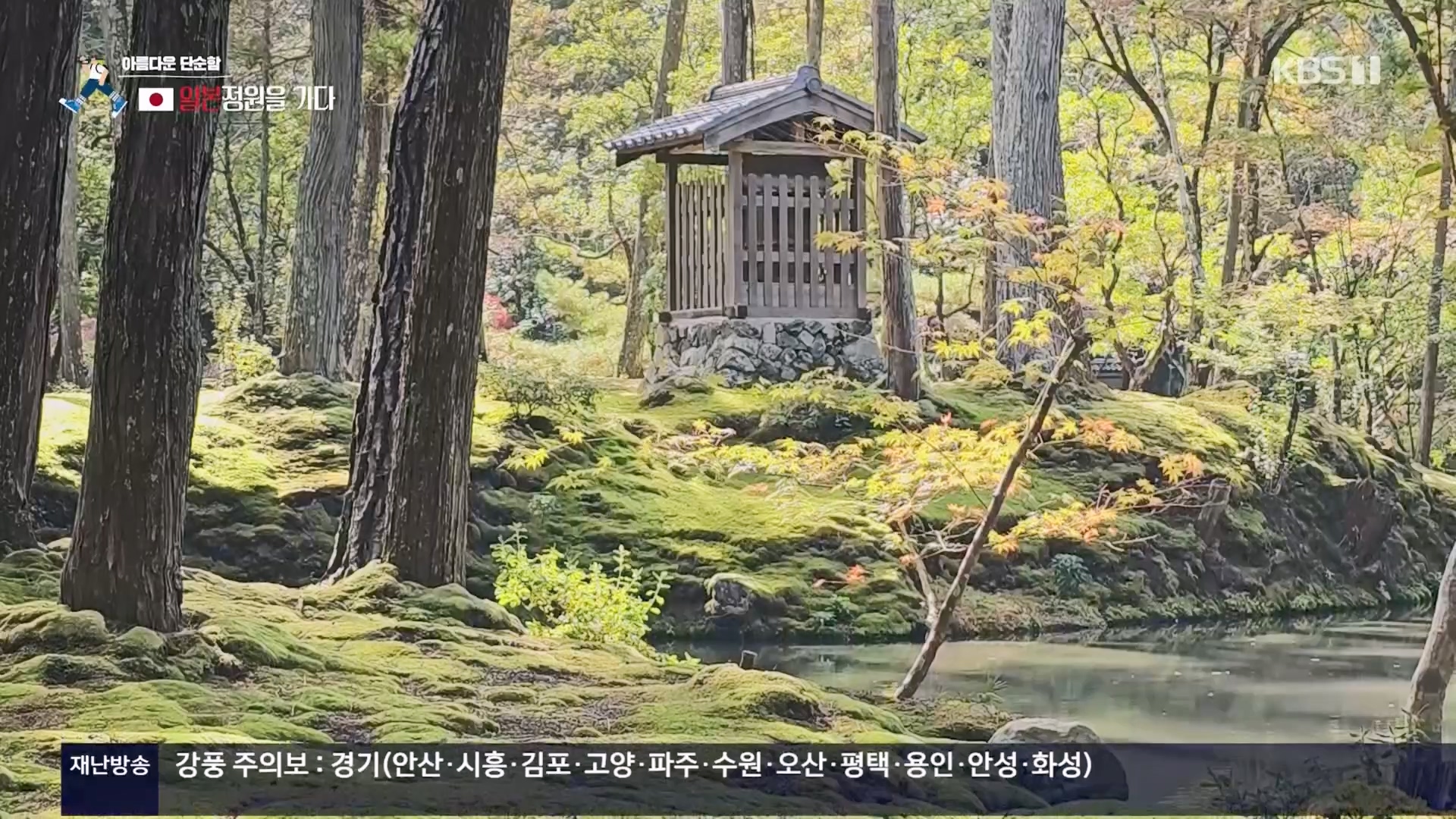 걸어서 세계속으로.E821.231216p.H264-F1RST.mp4_20240127_165049.795.jpg