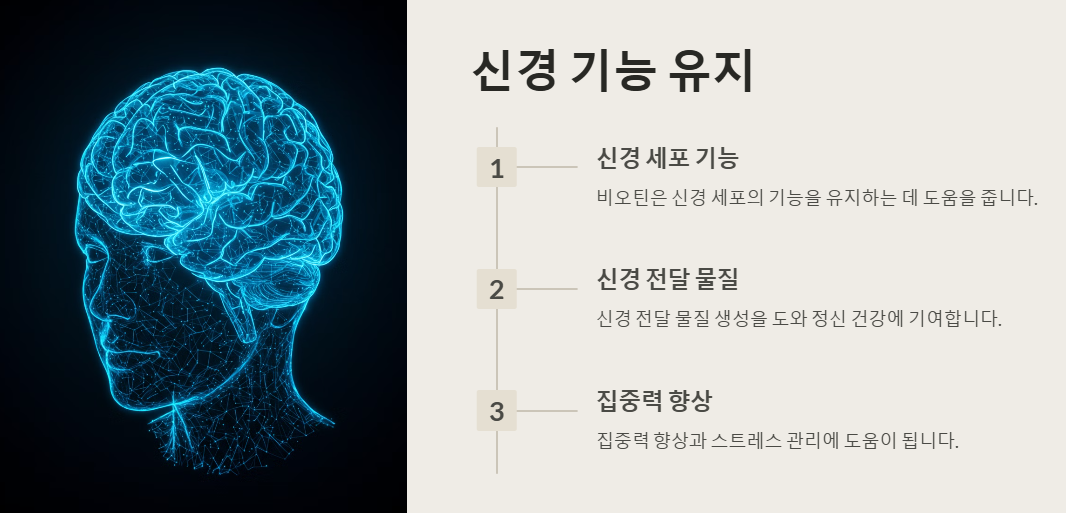 비오틴 효능, 신경기능 유지