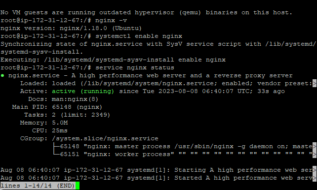 nginx 상태