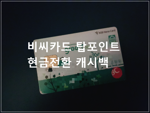  비씨카드 탑포인트 현금전환 캐시백