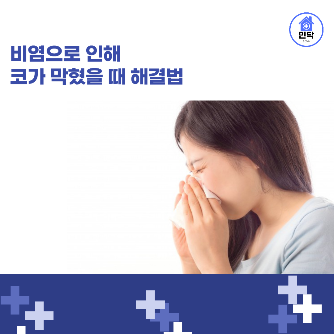 이나코 이미지