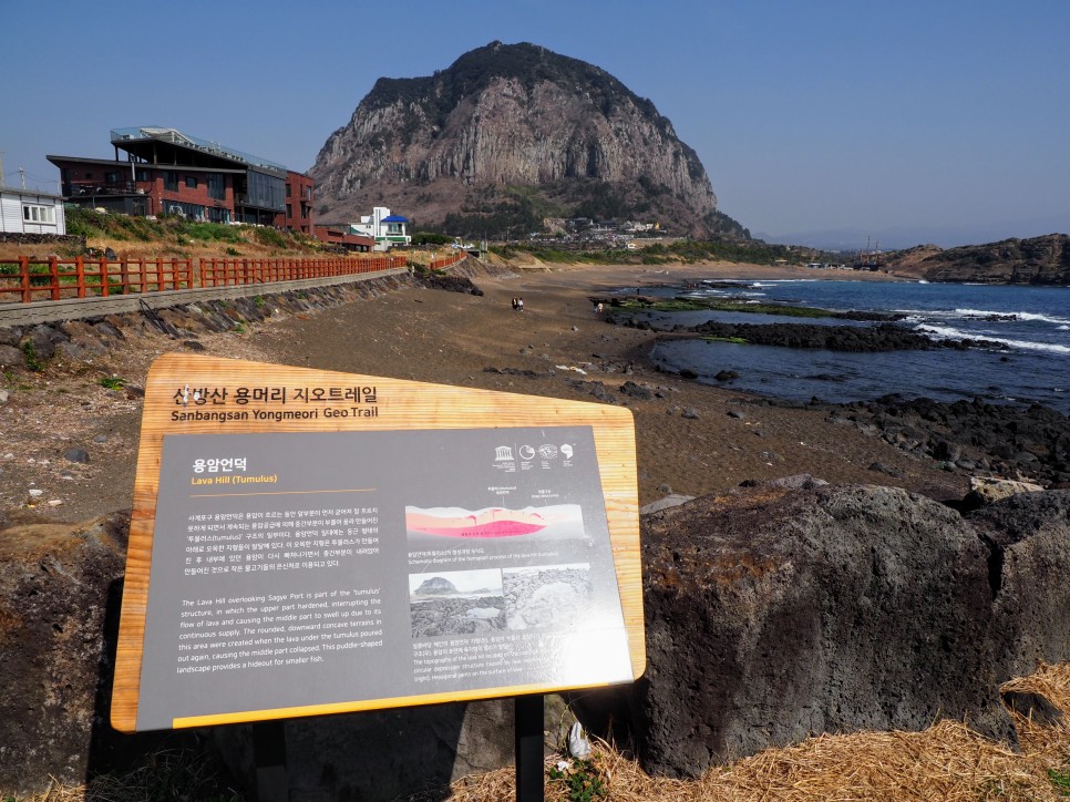 오늘 24도 가볍게 입으세요 2월 제주도 날씨 15