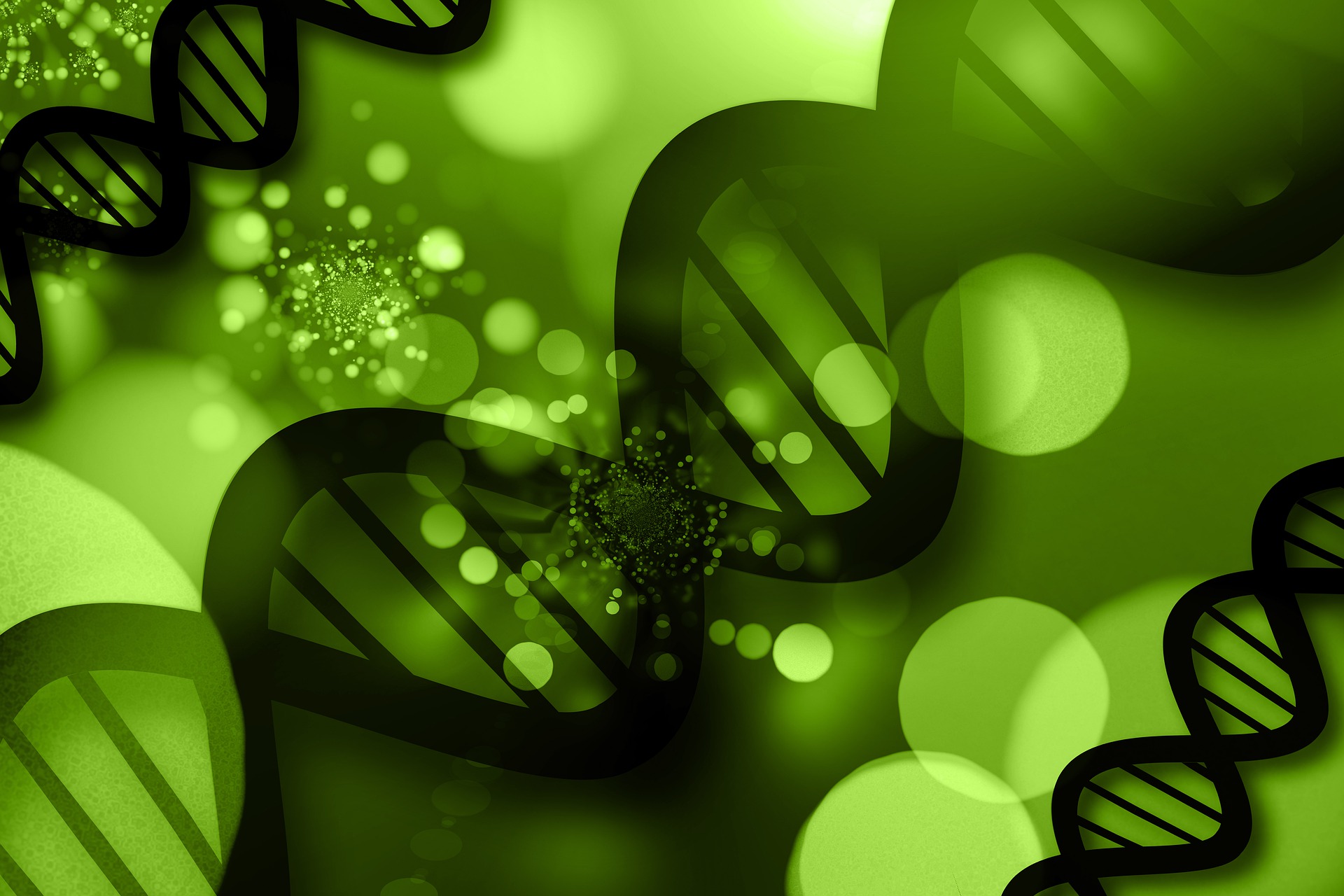 DNA는 세포의 유전 정보를 담고 있고, RNA는 유전 정보를 담고 있는 DNA를 기반으로 단백질 합성에 중간 역할을 한다.