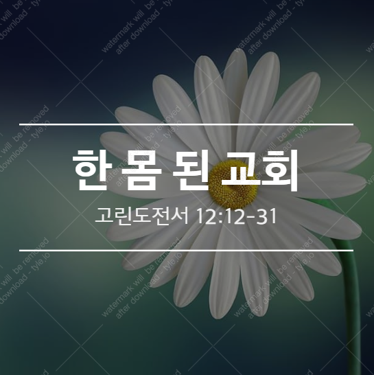  [고전 12:12-31] 한 몸 된 교회