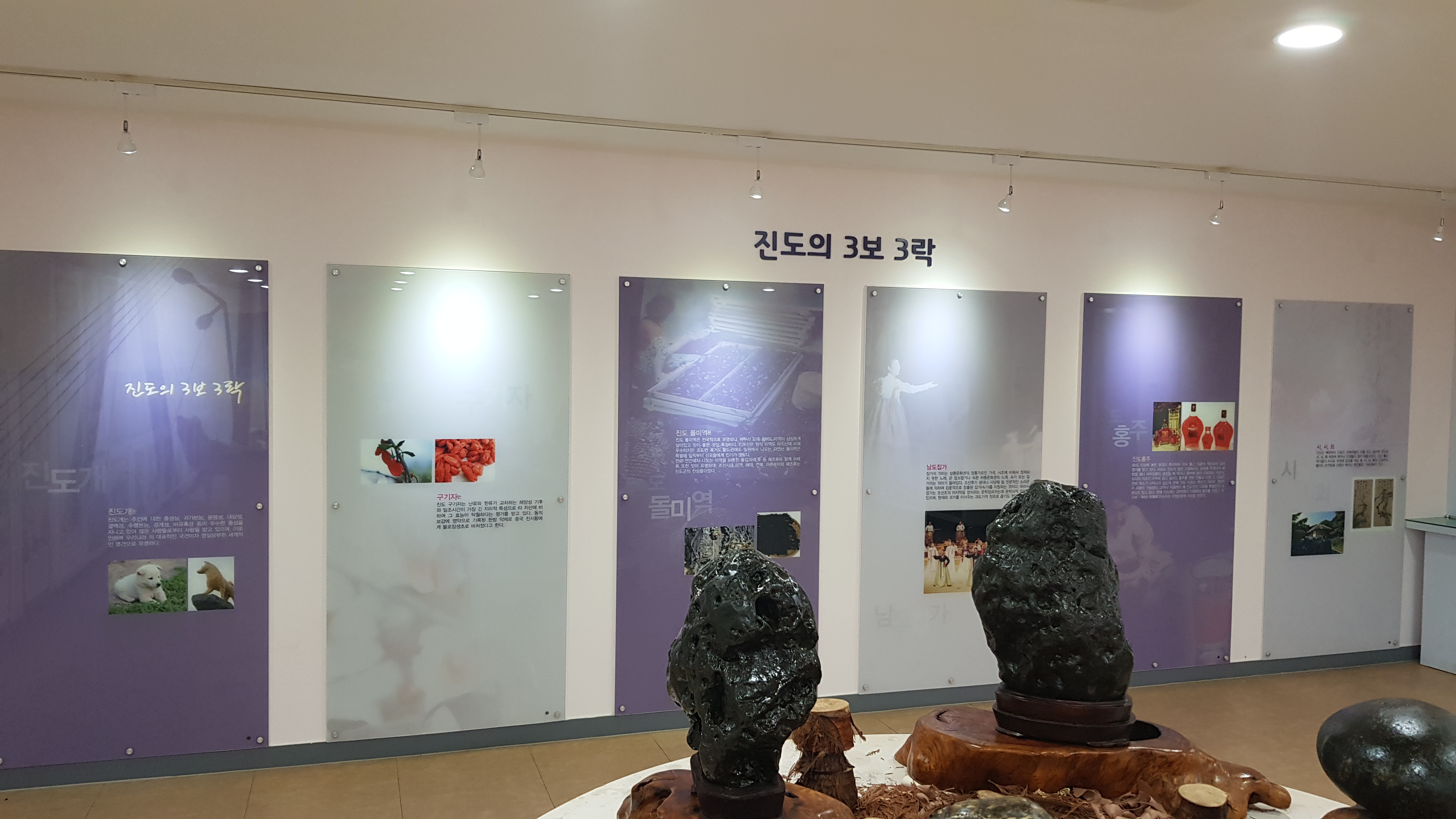 진도개테마파크_진도의3보3락설명