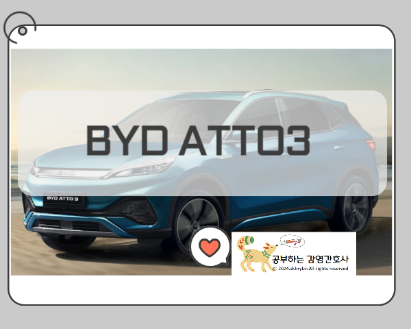 가성비 전기차! 국내 출시 일정과 지원금 혜택 알아보기 (실제 주행거리, 충전시간, 보조금 지원)
