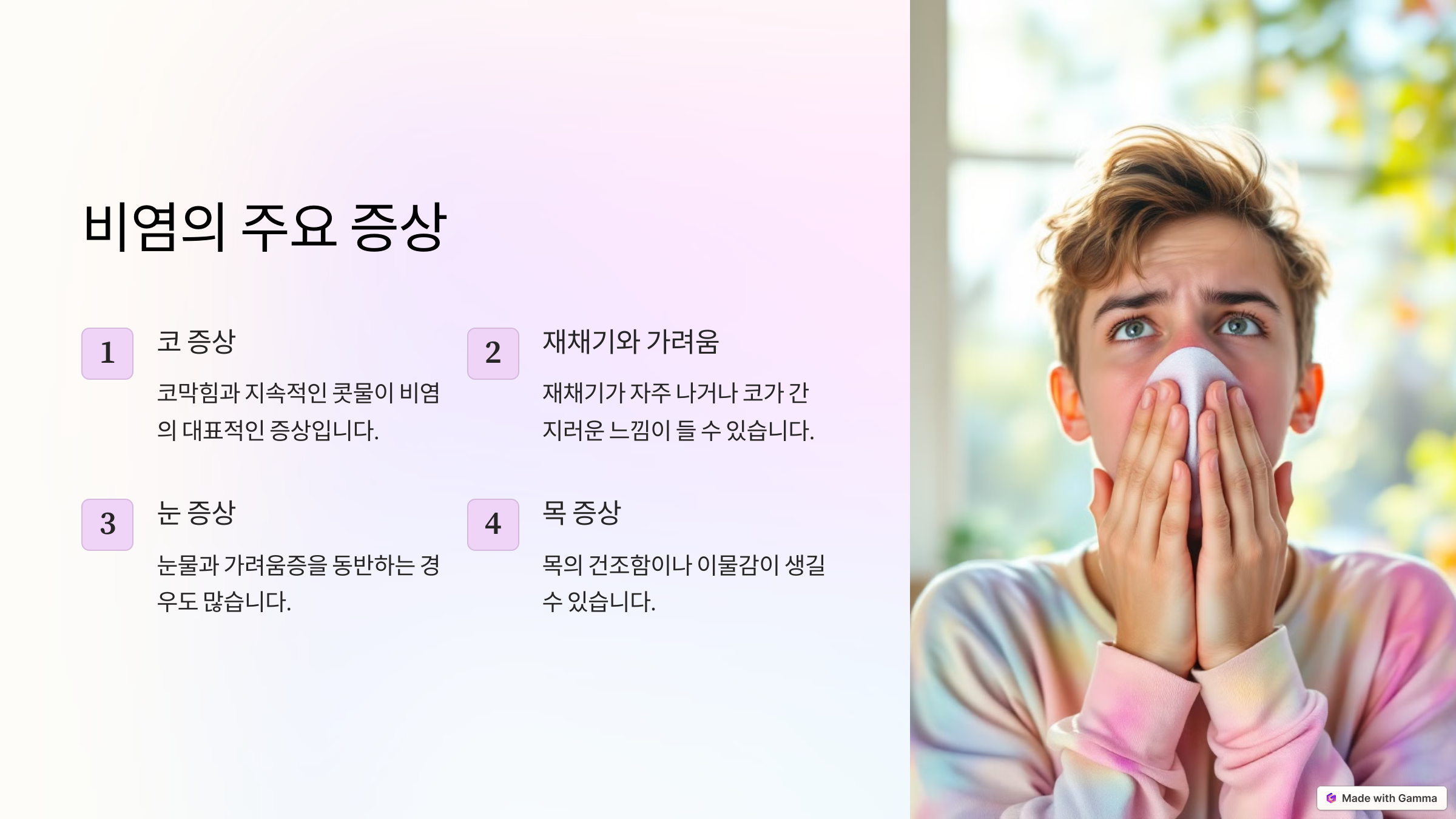 비염의 주요 증상