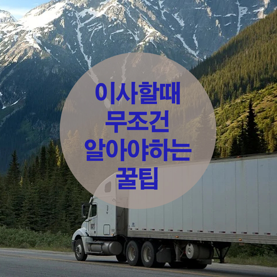  이사꿀팁 무조건 알야야 하는 꿀팁