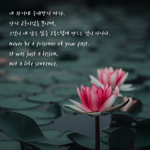 밀리의 서재 공모주
