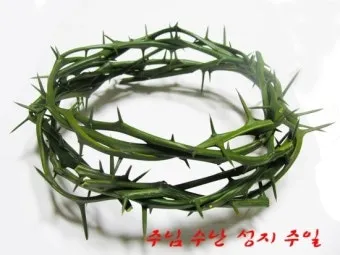 천주교 주님 수난 성지 주일_13