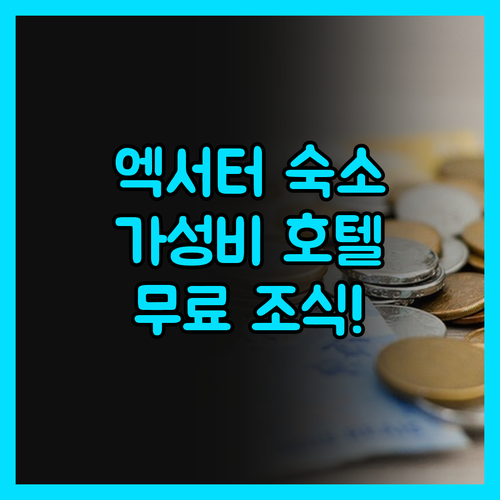 엑서터 시티 센터 가성비 숙소 발견 