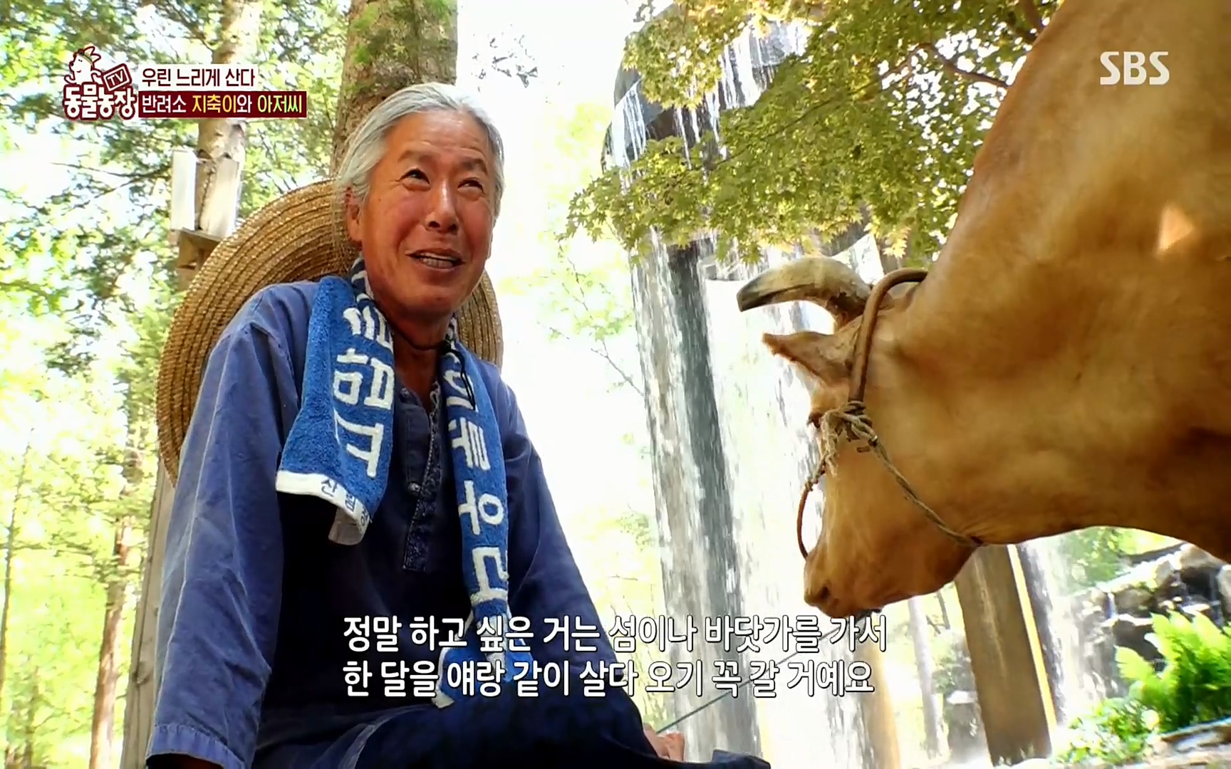 TV 동물농장.E1074.220619p.H264-F1RST.mp4_20220619_182121.237.jpg